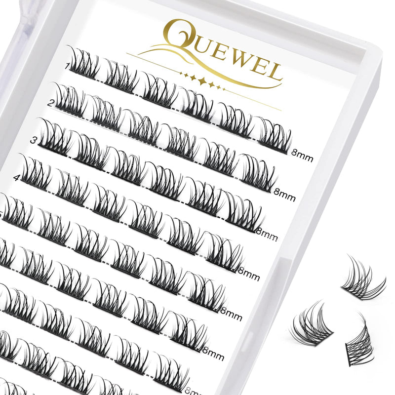 Individual-Lashes 144 Cluster-Lashes QUEWEL DIY Eyelash-Extensions-Kit, Clusters Eyelash Applicator, Cluster Lashes Bond and Seal Super Hold, Clusters Lash Glue Remover Easy to Remove(QU-RR-DH-01)