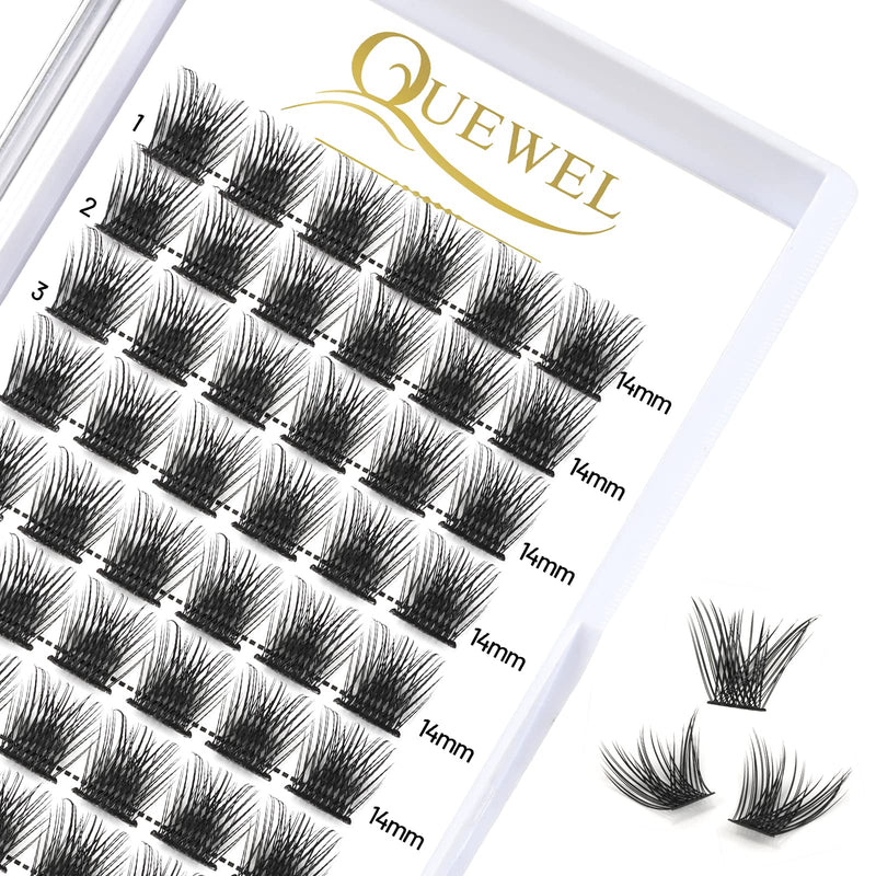 Individual-Lashes 144 Cluster-Lashes QUEWEL DIY Eyelash-Extensions-Kit, Clusters Eyelash Applicator, Cluster Lashes Bond and Seal Super Hold, Clusters Lash Glue Remover Easy to Remove(QU-RR-DH-01)