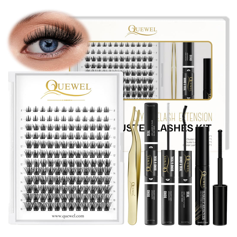 Individual-Lashes 144 Cluster-Lashes QUEWEL DIY Eyelash-Extensions-Kit, Clusters Eyelash Applicator, Cluster Lashes Bond and Seal Super Hold, Clusters Lash Glue Remover Easy to Remove(QU-RR-DH-01)